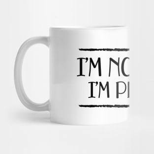 Writer - I'm not quiet I'm plotting Mug